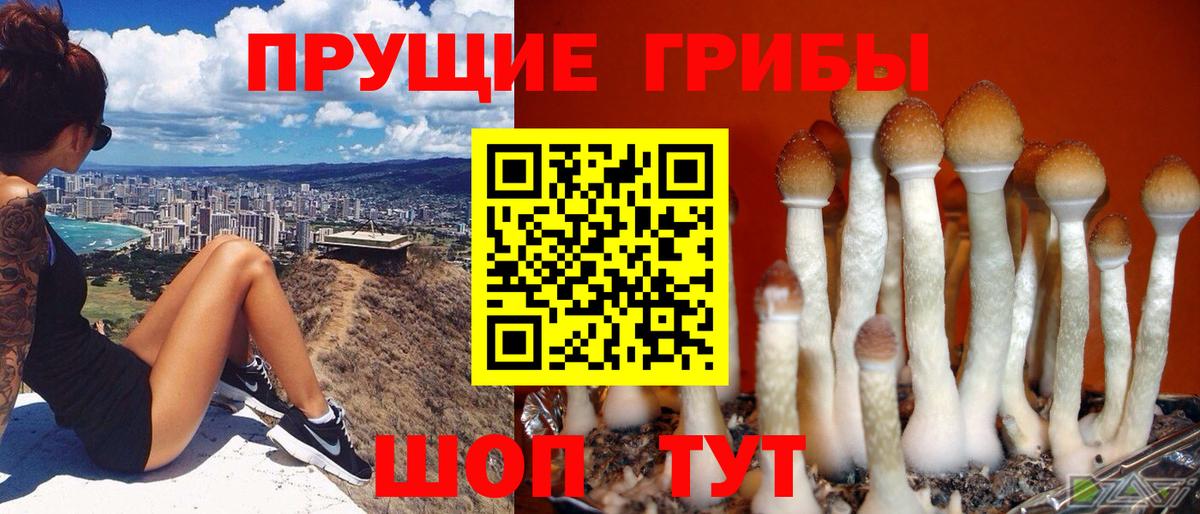 Псилоцибиновые грибы ЛСД  Вход с VPN  Нефтеюганск 